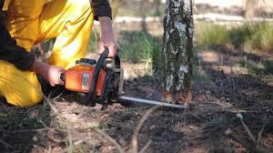 Best Storm Damage Tree Cleanup  in Gatlinburg, TN