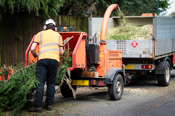 Best Lawn Irrigation Installation and Maintenance  in Gatlinburg, TN