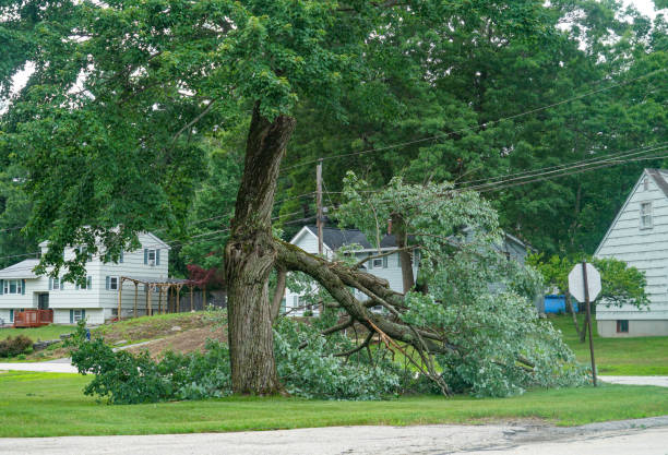 Lawn Drainage Solutions in Gatlinburg, TN